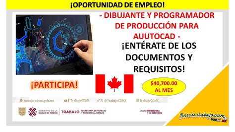 Oportunidad Laboral En El Extranjero Como Dibujante Y Programador De