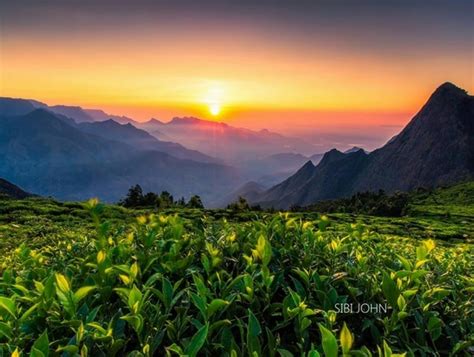 20 Things To Do In Munnar Weekend Thrill