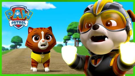 Rubble Rescues Animals More Best Moments Paw Patrol Cartoons For