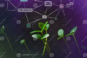 Soil Contamination by Chemical Emissions. Harmful Substances in Soil ...