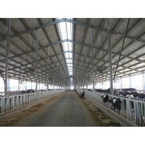 Steel Prefab Dairy Farm Sheds At Rs 350 Square Feet In Kolkata ID