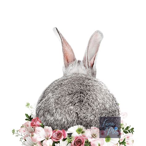 Bunny Flower Crown Rabbit Art Bunny Print Set Bunny Art Etsy