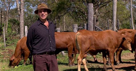 Agronegócios Globo Rural mostra a fazenda e o trabalho de Almir Sater