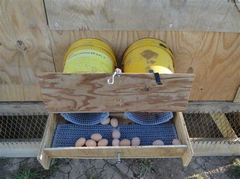 Homemade Rollaway Chicken Nest Boxes