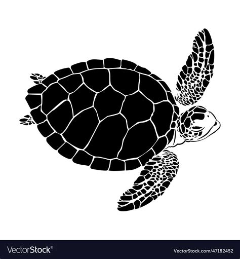 Graphic sea turtle of sea turtle Royalty Free Vector Image