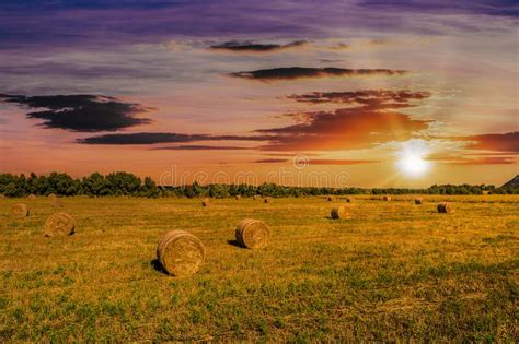 Landscape of Field with Bales of Hay at Sunset Stock Photo - Image of ...