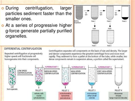 Centrifugation Principle And Types