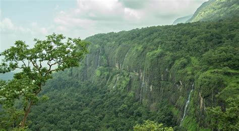bhimashankar wildlife sanctuary alchetron   social encyclopedia