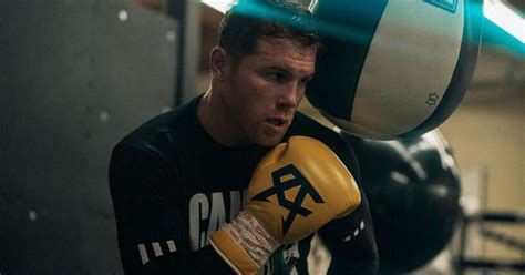canelo alvarez   intense training   fight