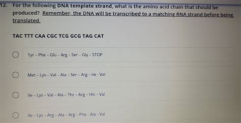 Solved For The Following Dna Template Strand What Is The Amino