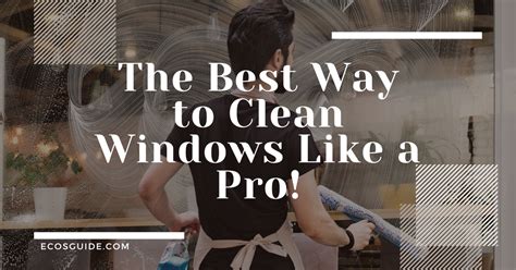 Best Way To Clean Windows Like A Professional In