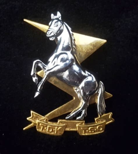 South African Army Sa South African Military Tsc Tdk Horse Badge 45mm