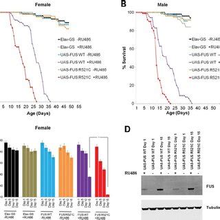 Expression Of Mutant Fus In Motor Neurons Leads To A Larval Crawling