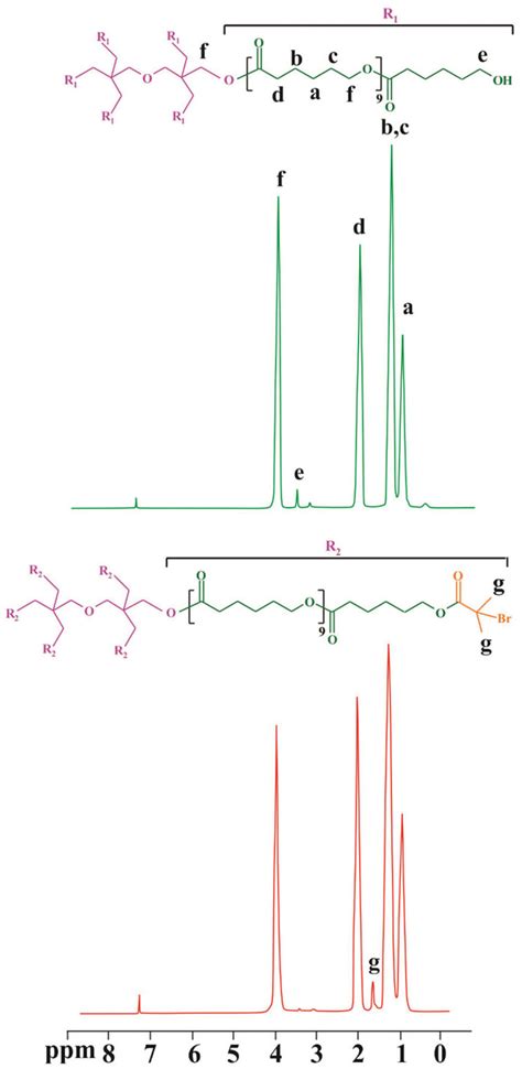 The 1 H Nmr Spectra Of The S Pcl And S Pcl Br Macroinitiator