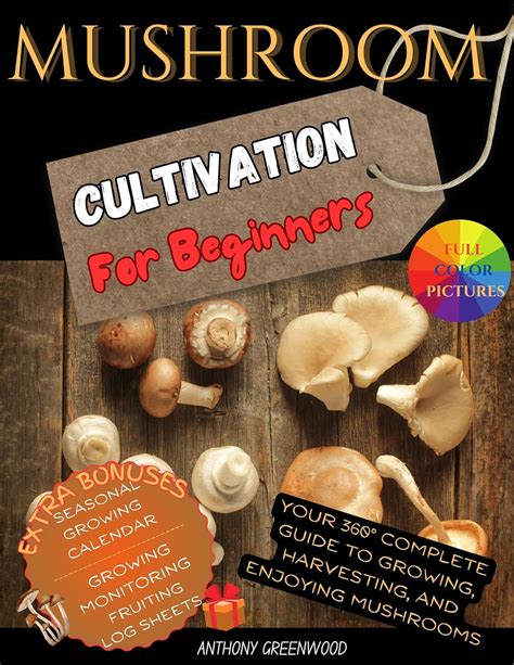 Amazon Mushroom Cultivation For Beginners Your Complete