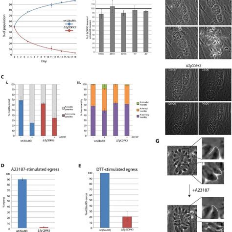 2 Scheme Of A Toxoplasma Gondii Tachyzoite With A Detailed Model Of Download Scientific