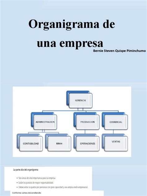 Organigrama de Una Empresa | PDF | Business | Marketing