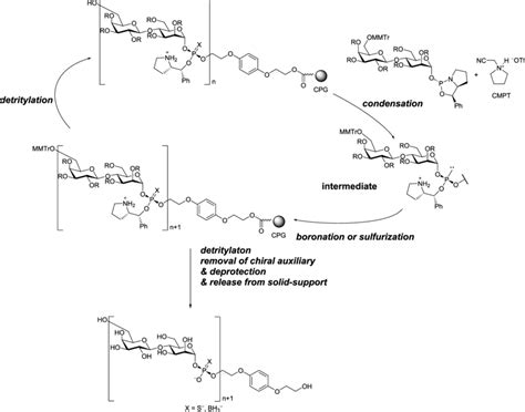 Scheme 1 Strategy For The Stereocontrolled Synthesis Of P Modified Download Scientific Diagram