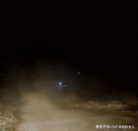 湖南7岁男孩夜里打手电筒跑500米，接回家过年的父母，心酸又感动儿子亲人株洲