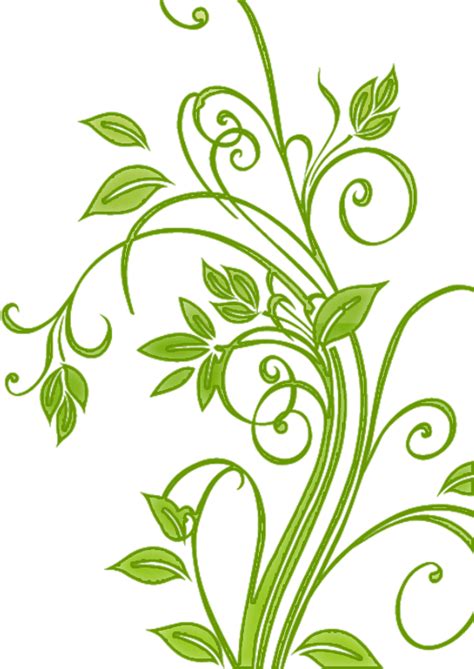 100 Floral Vector Png Images