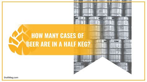 Guide To Beer Keg Sizes And Dimensions