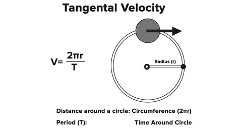 40 Facts About Circular Motion Facts Net