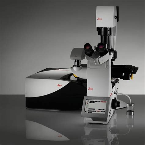 Leica TCS SP8 Confocal Microscope – Biological Imaging Facility