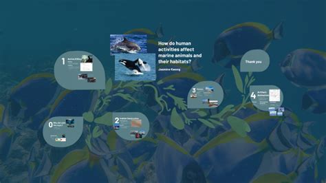 How Do Human Activities Affect Marine Animals And Their Habitats By