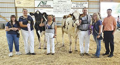 Holsteins on display at MN district shows - Dairy Star