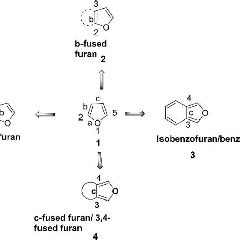 Multidimensional Biological Application Of C Fused Furan Download Scientific Diagram