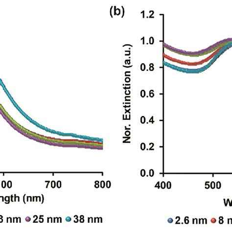 Normalized Uv Vis Extinction Spectra Of The Different Gnps Sizes A Download Scientific