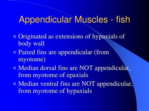 Ppt Appendicular Muscles Powerpoint Presentation Free Download Id