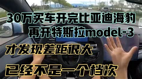 30万买车开完海豹，再开特斯拉model3，才发现已经不是一个档次 Youtube