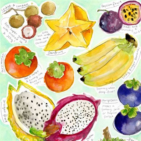 Tropical Fruit Chart Ii — Dawn Tan