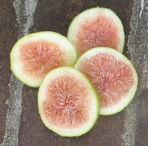 Emerald Strawberry Mountain Figs