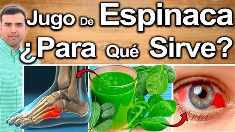 Jugo De Espinaca En Ayunas Cura Todo ¿para Qué Sirve Beneficios