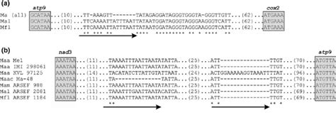 Representative intergenic region nucleotide sequence alignments that ... 