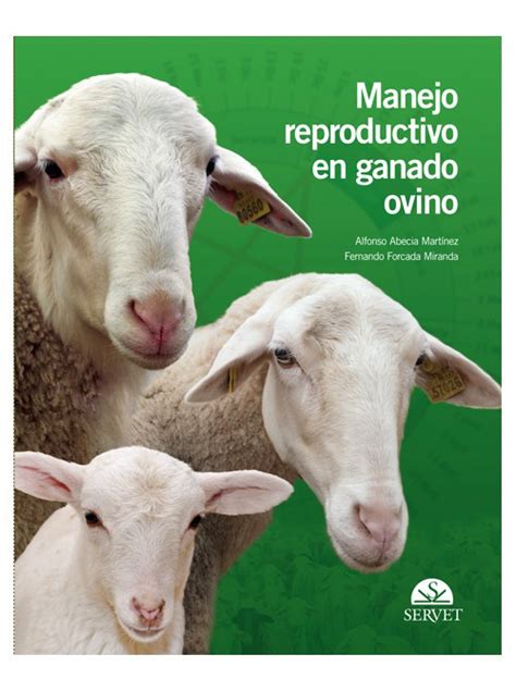 Manejo Reproductivo En Ganado Ovino Divisi N M Dica Editorial S L