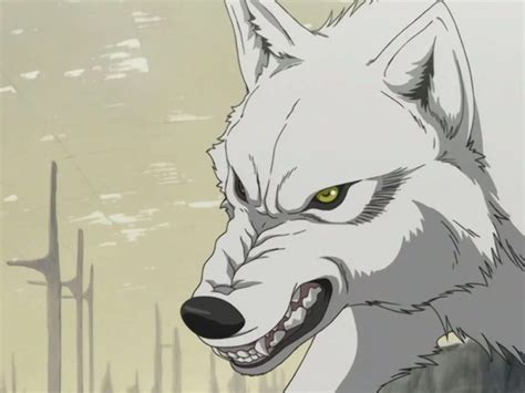 50 Best Human Wolf Hybrid Characters In Anime Hood Mwr