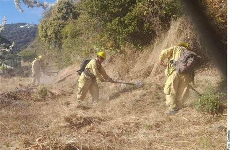 Gobierno De Tlajomulco Trabaja Para Anticiparse A Incendios Forestales