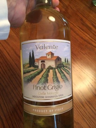 Valente Delle Venezie Pinot Grigio Vivino