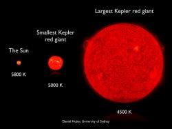 New Technique Separates the Modest Red Giants From the ... Giant Red ...