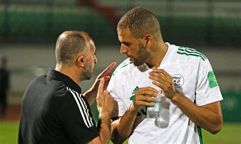 Djamel Belmadi va écarter 3 cadres de la sélection algérienne