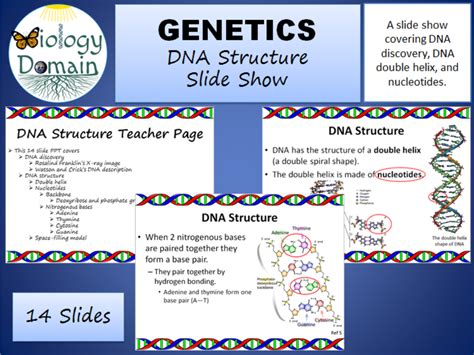 Genetics: DNA Structure Slide Show | Teaching Resources