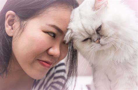 17 Things You Do That Your Cat Actually Hates Experts Say — Best Life