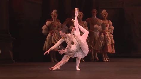 Sleeping Beauty Act Iii Grand Pas De Deux Marianela Nu Ez And