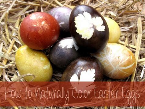 How To Color Easter Eggs Naturally With Common Household Items HubPages