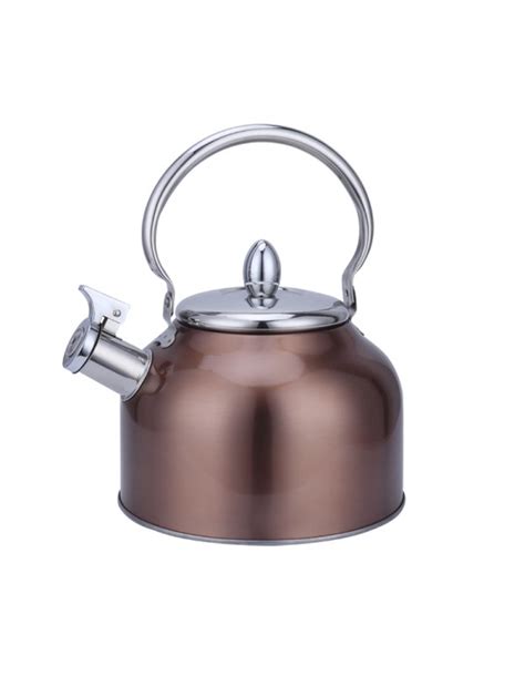 Stainless Steel 201 Whistling Water Kettle Teapot 3l Capacity Rl Wk032