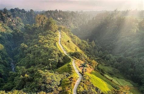 Campuhan Ridge Walk Bali Tiket Masuk Lokasi Dan Info Terbaru