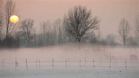 La Nebbia Tra Fisica Problemi E Curiosit Passione Astronomia